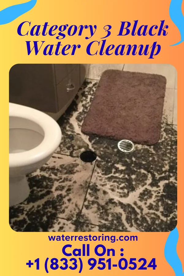 Category 3 Black Water Cleanup in Pen Mar, PA