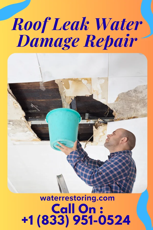 Roof Leak Water Damage Repair in Pen Mar, PA