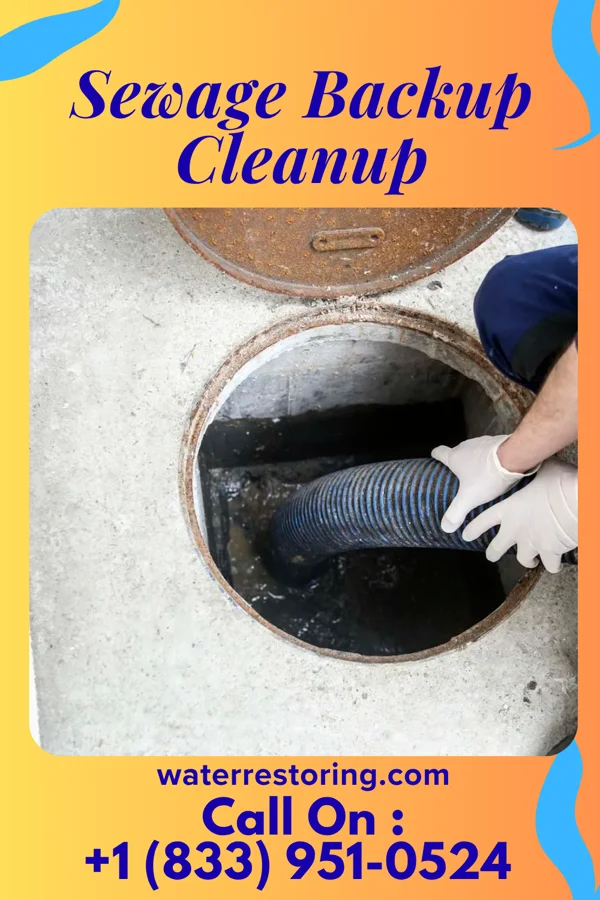 Sewage Backup Cleanup in Pen Mar, PA